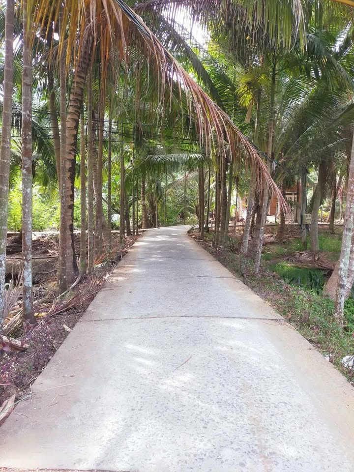 Đất mặt tiền An Hội 1000m² giá chỉ 1.8 tỷ - Đầu tư sinh lời ngay!