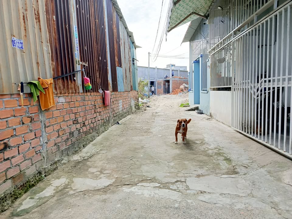 Đất ở đô thị Phường Đức Long 60m² chỉ 600 triệu - Sổ đỏ chính chủ!