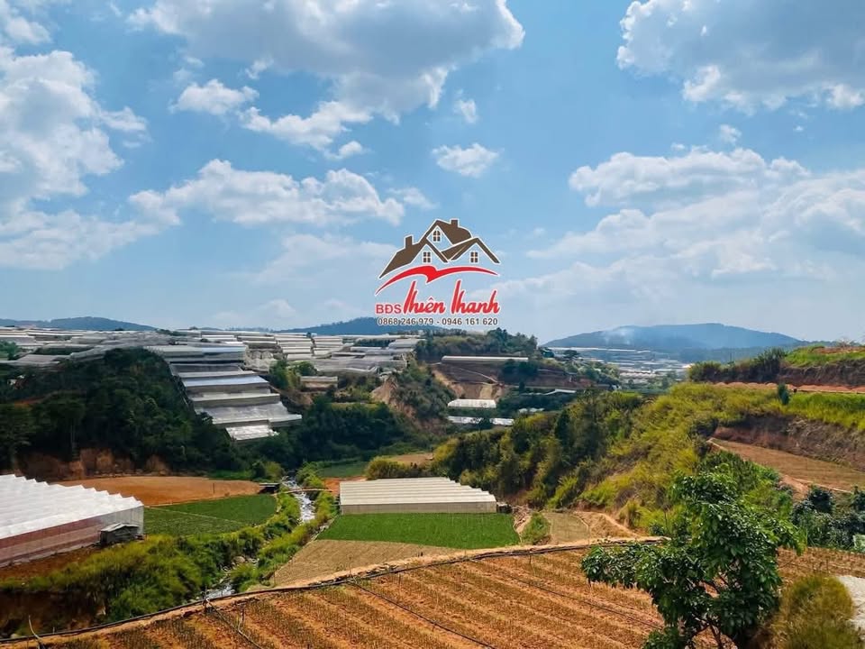 Đất SRXD Cao Thắng, Đà Lạt 500m² giá 8 tỷ - Sổ riêng, thuận tiện xây dựng!