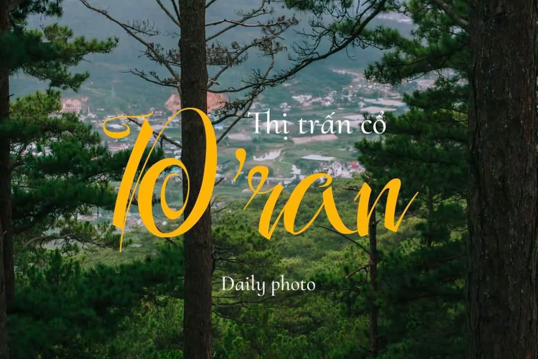 Lô đất 274m² Lạc Xuân Đơn Dương giá 1.24 tỷ - Tiềm năng đầu tư cao!