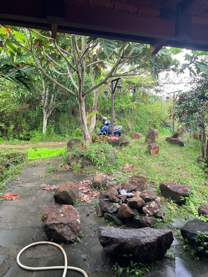 Nhà nguyên căn cho thuê tại Hẻm Lam Sơn, Bảo Lộc 1PN - Giá 3.5 triệu/tháng