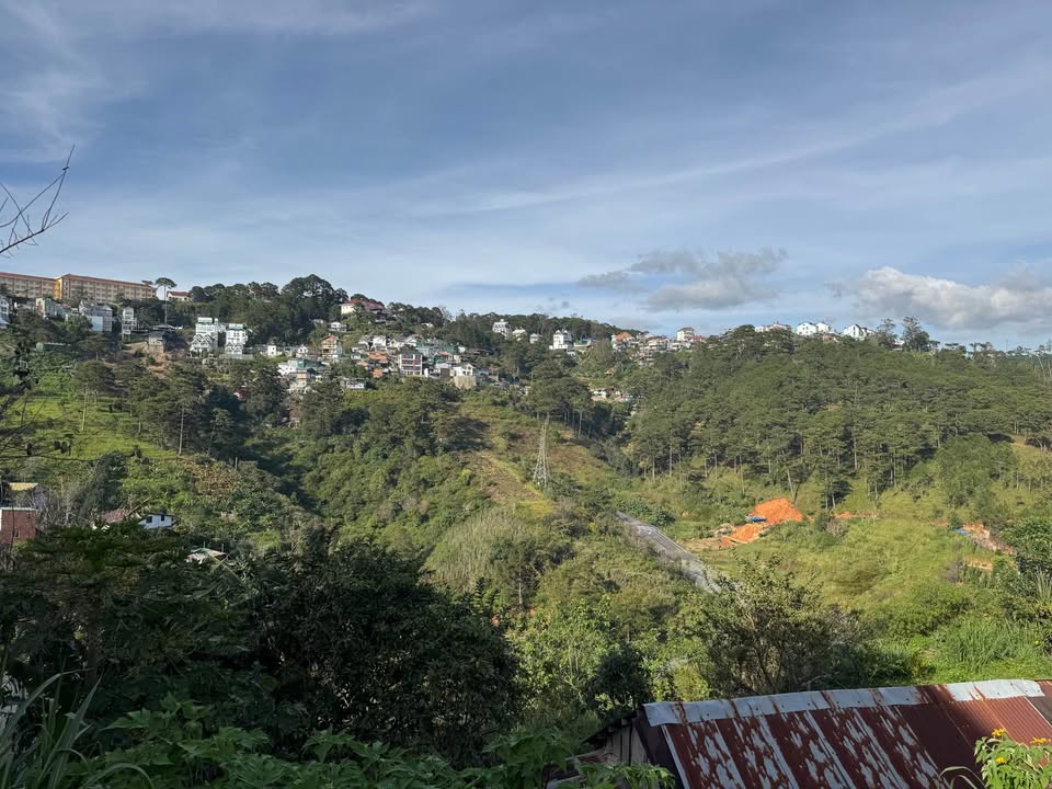 Đất nền Đà Lạt 5000m² giá 50 tỷ - View đẹp, sổ đỏ chính chủ!