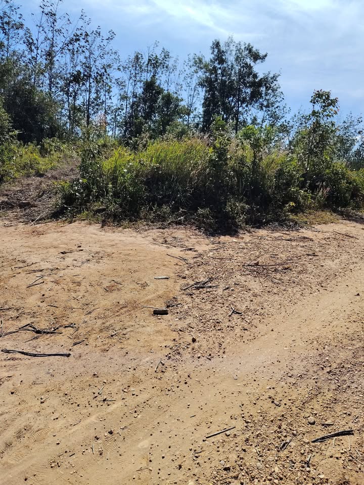 Đất Farm Đăk Blà, Kon Tum 63.000m² giá 200 triệu - Cơ hội đầu tư tuyệt vời!