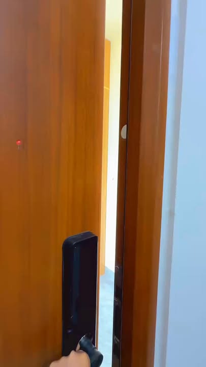 Căn hộ 2 phòng ngủ Hòa Quý Đà Nẵng giá 10.5 triệu - Không gian thoáng đãng, thân thiện với thú cưng!