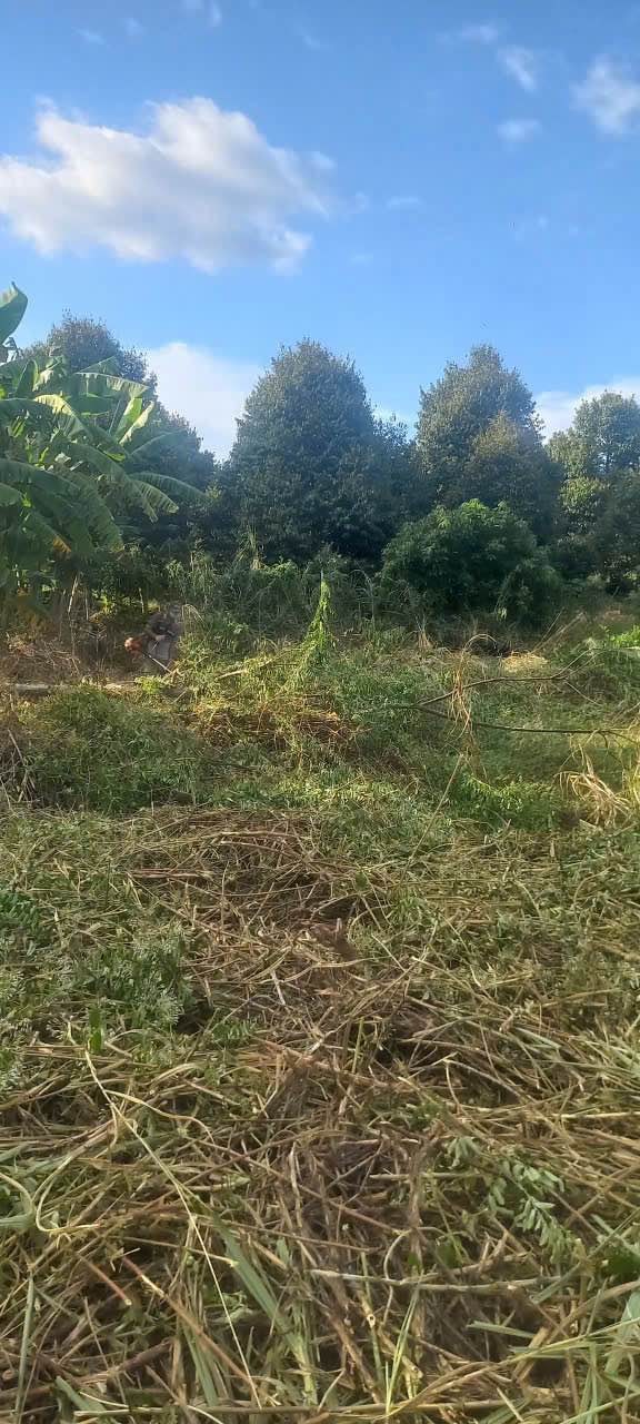 Đất thổ cư xã Tà Lài 300m² giá chỉ 290 triệu - Sổ đỏ chính chủ!