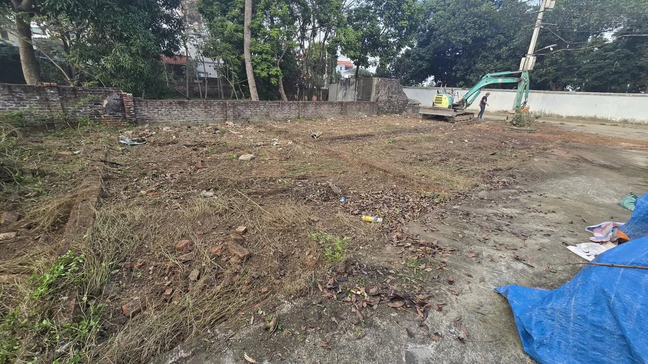 Đất nền Tam Hưng 60m² giá 4 tỷ - Cơ hội đầu tư không thể bỏ lỡ!