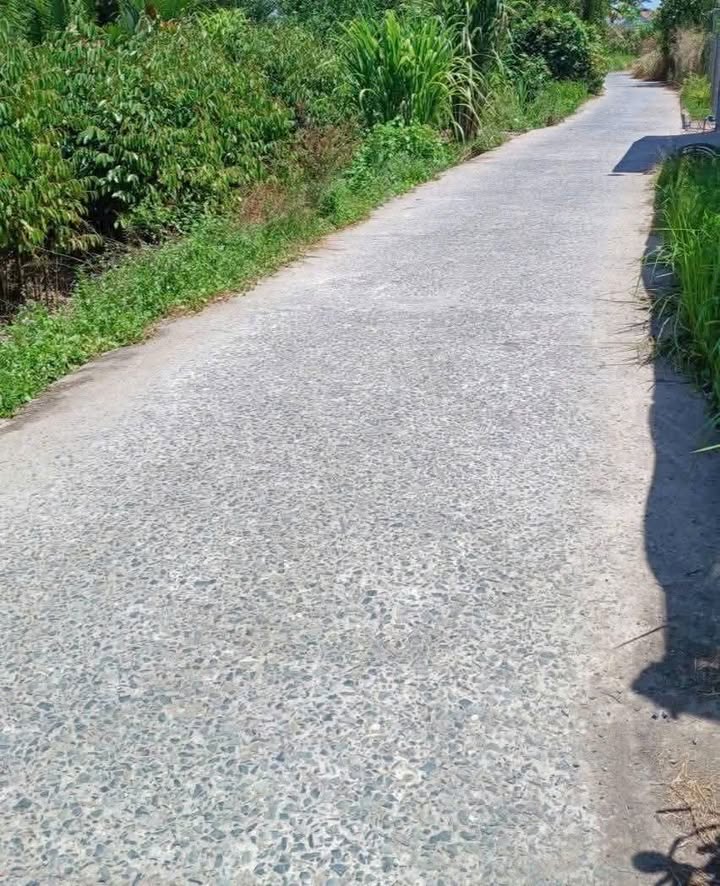 Đất nền Tân Thiềng Chợ Lách 2000m² giá 5.4 tỷ - Đường ô tô thuận tiện!