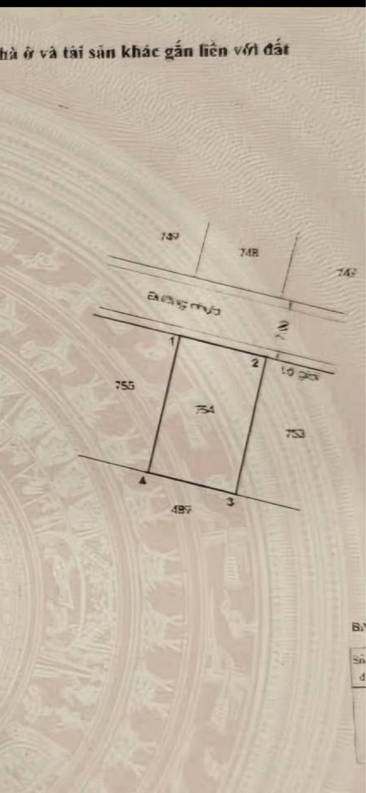 Đất nền Xuân Thới Thượng, Hóc Môn 160m² giá 50 tỷ - Đầu tư sinh lời tốt!