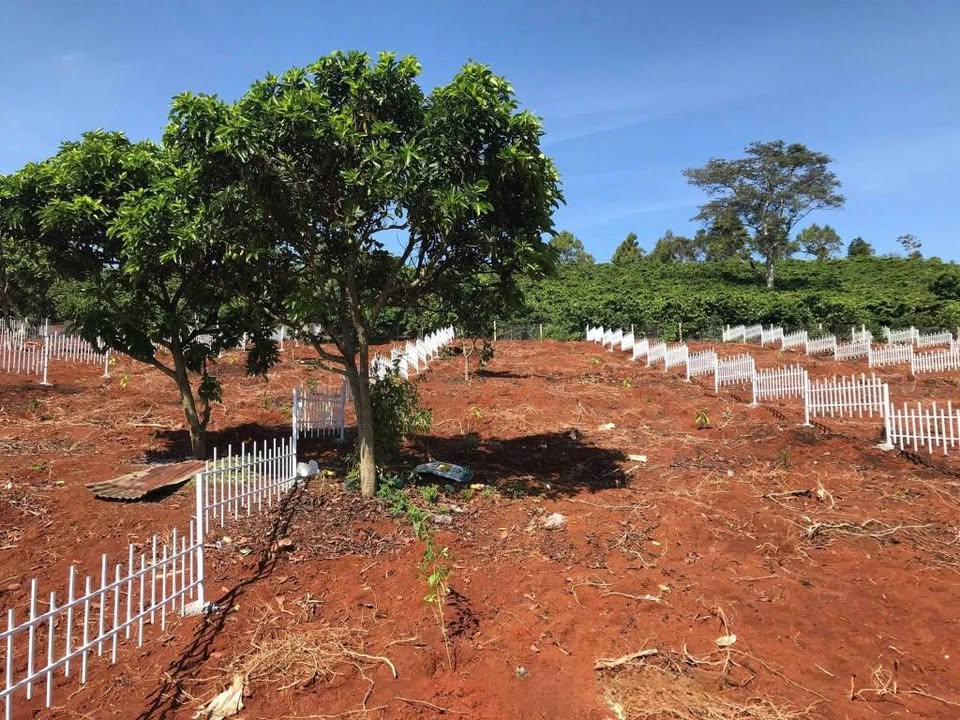 Lô đất 307m² tại Nam Hà, Lâm Hà - Đầu tư sinh lời, nghỉ dưỡng lý tưởng!