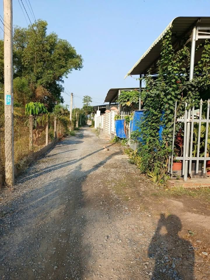 Đất thổ cư Hòa Lợi, Trảng Bàng, Tây Ninh 297m² giá 1.4 tỷ - Đường ô tô thông thoáng!