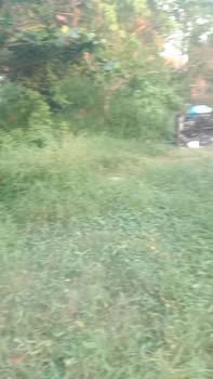 Đất nền 140m² khu phố Hòa Hưng, phường An Hòa, giá 500 triệu - Cần bán gấp!