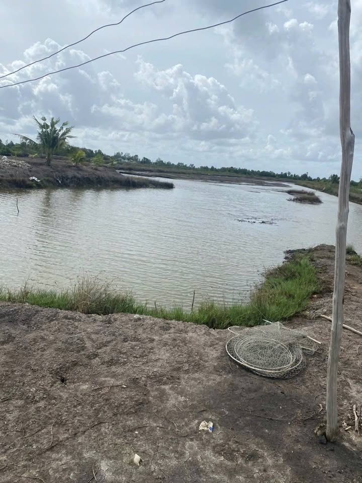 Đất nông nghiệp ấp 6, xã Phong Thạnh Tây, Bạc Liêu 16.458m² - Giá chỉ 1.646 tỷ!