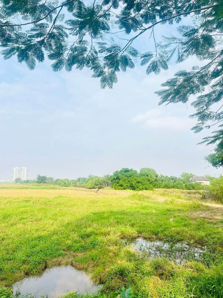 Đất vườn 360m² tại Phường Nam Đồng, TP Hải Dương - Tiềm năng phát triển vượt trội!