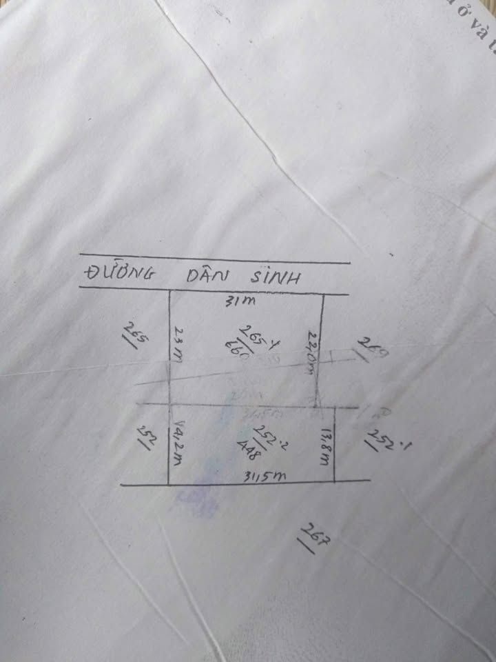 Đất nền đường 306, Đồng Thịnh, Sông Lô 1000m² - Vị trí đắc địa cho đầu tư!