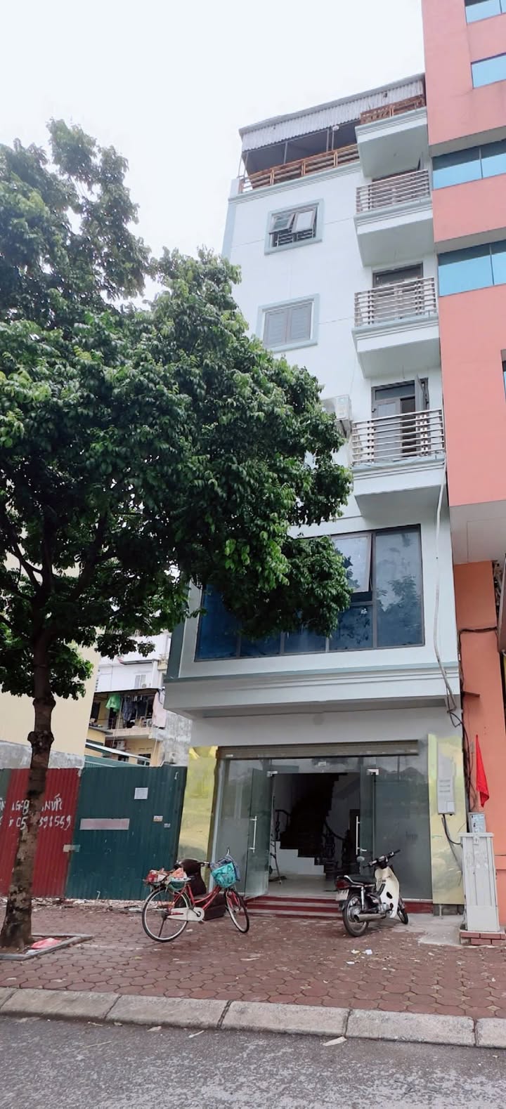 Nhà mặt phố Quan Hoa, Cầu Giấy, 80m² - Thang máy, thuận tiện kinh doanh!