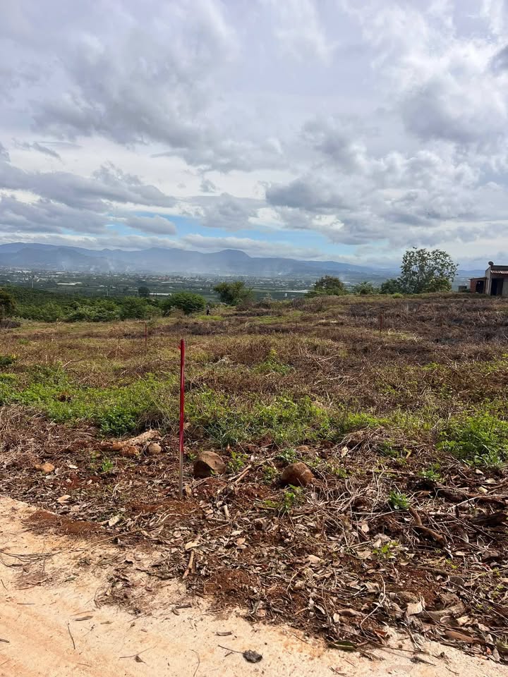 Đất thổ cư tại Đinh Văn, Lâm Hà 1107m² giá 750 triệu - Cơ hội hiếm có!