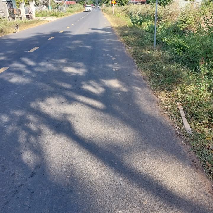 Đất nông nghiệp 1200m² tại Cư M'Lan, Ea Súp - Giá chỉ 370 triệu!