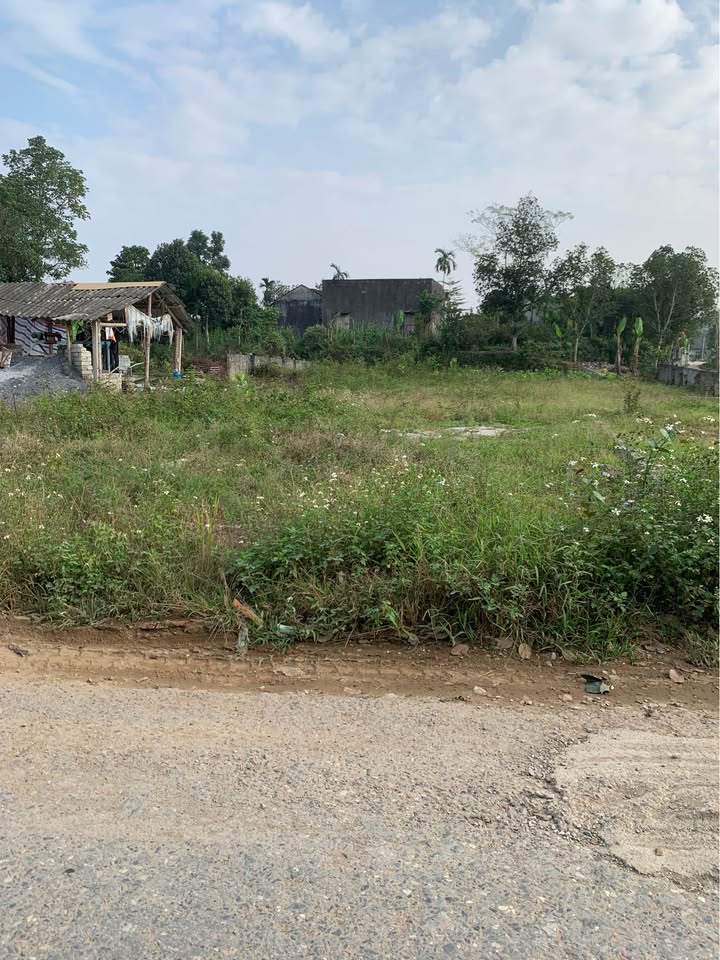 Đất giá rẻ Lương Nha, Thanh Sơn 112m² - Đầu tư sinh lời ngay!