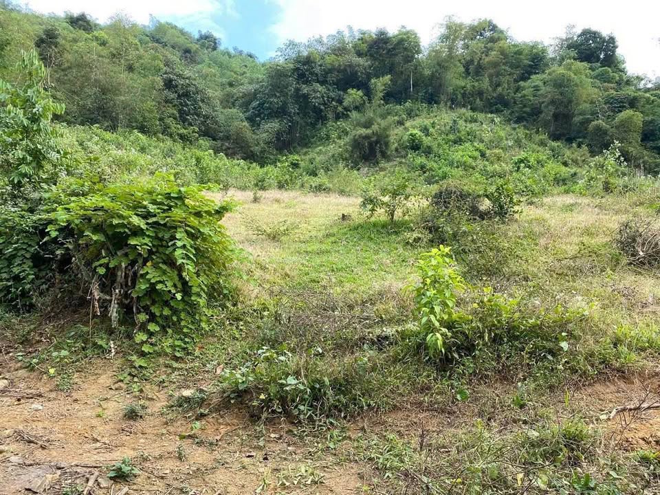 Đất nền đẹp tại TP Hòa Bình 4.777,2m² - Đầu tư sinh lời hấp dẫn!