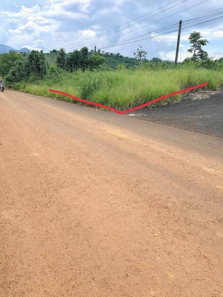 Đất nền mặt tiền Nhựa Hồ Ngọc Lộc Tân 195m² giá 800 triệu - Sổ đỏ chính chủ!