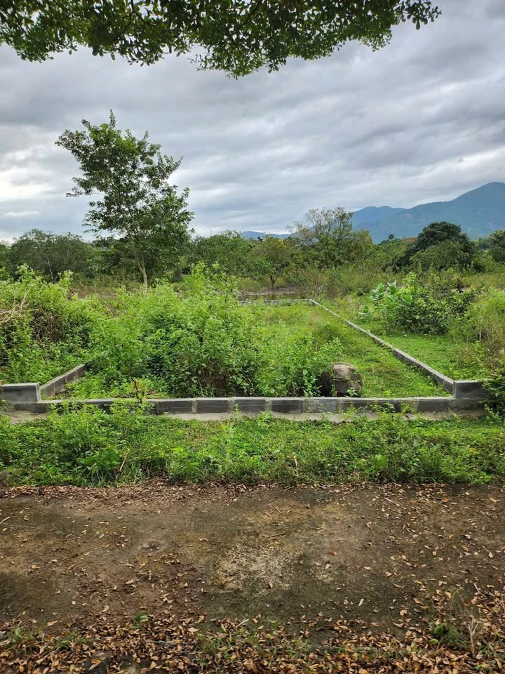 Đất thổ cư Diên Lạc, Diên Khánh 105m² giá chỉ 690 triệu - Sổ đỏ chính chủ!