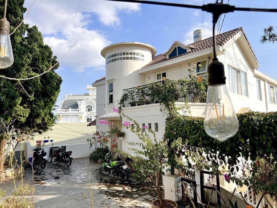 Villa Phường 10 Đà Lạt 338,75m² giá 36 tỷ - Kinh doanh homestay ổn định!