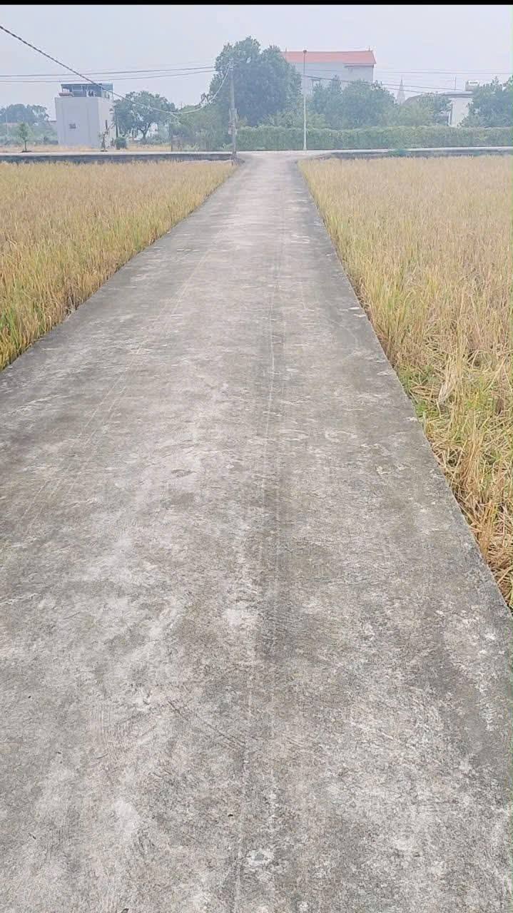 Đất thổ cư Quỹ Nhất, Nghĩa Hưng 104m² giá 630 triệu - Cơ hội đầu tư tuyệt vời!