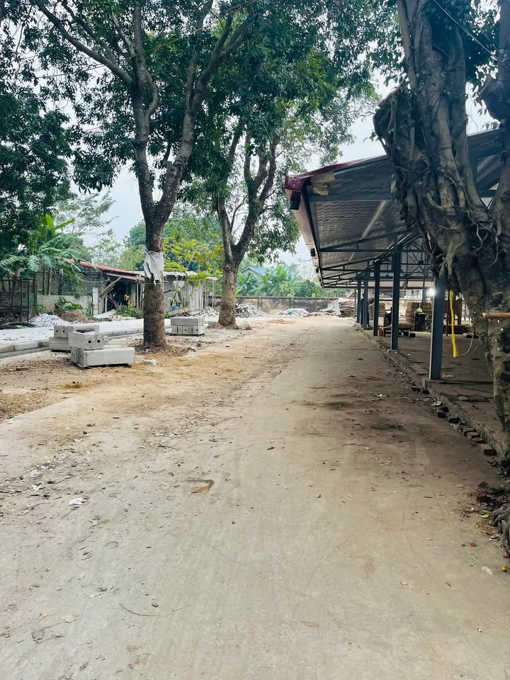 Đất dịch vụ Lê Thanh - Mỹ Đức 72m² giá chỉ vài trăm triệu - Cơ hội đầu tư hấp dẫn!