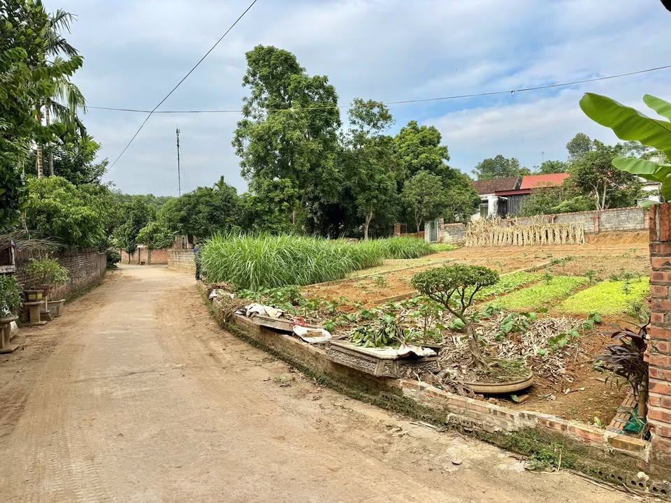 Đất thổ cư Dân Quyền 96,4m² - Vị trí đẹp, giao thông thuận lợi