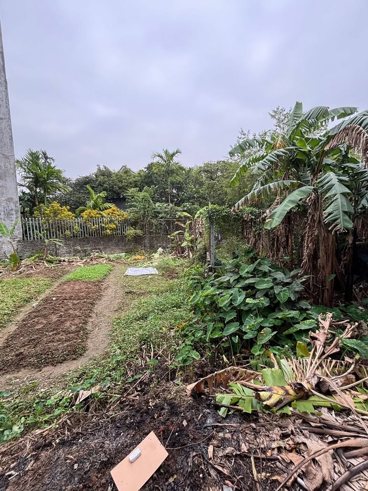 Đất nền Ninh Mỹ, Hoa Lư 59m² giá 1.XXX tỷ - Cơ hội đầu tư tuyệt vời!