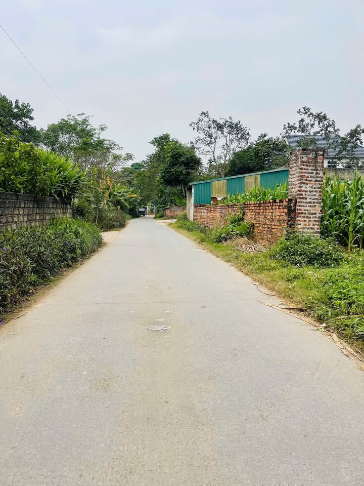 Đất nền chính chủ tại Như Thụy, Sông Lô 154m² giá 1.2 tỷ - Đầu tư sinh lời ngay!