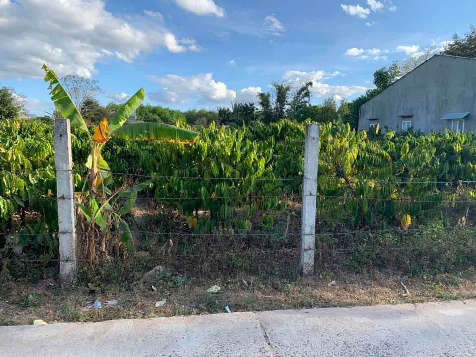 Đất thổ cư Ia Chim, Kon Tum 250m² - Vị trí trung tâm, giá tốt!