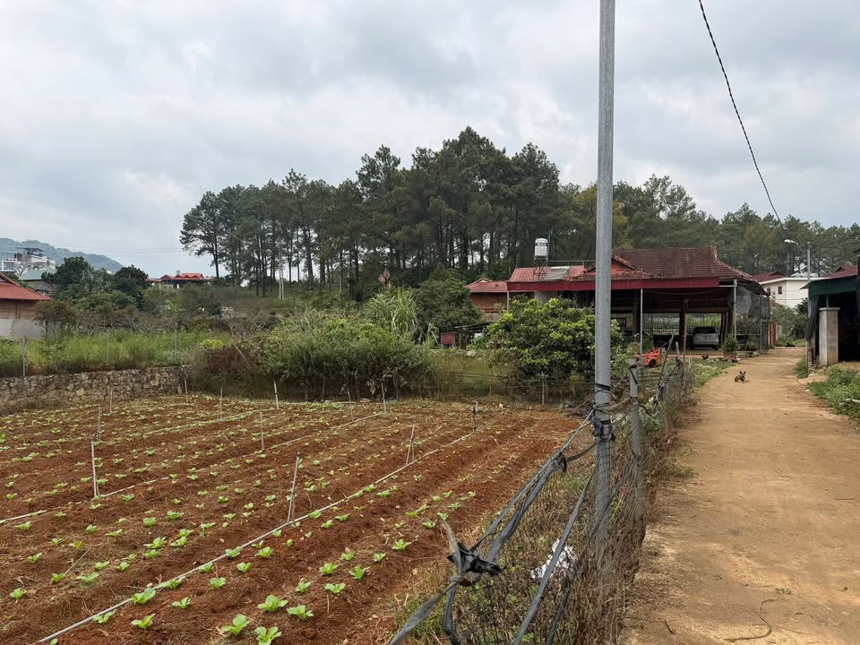 Bán lô đất thổ cư 114m² tại Bản Áng, Mộc Châu - Giá chỉ 1.72 tỷ