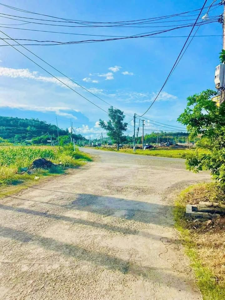 Đất thổ cư An Ninh Đông 255m² giá 800 triệu - Đầu tư sinh lời ngay!