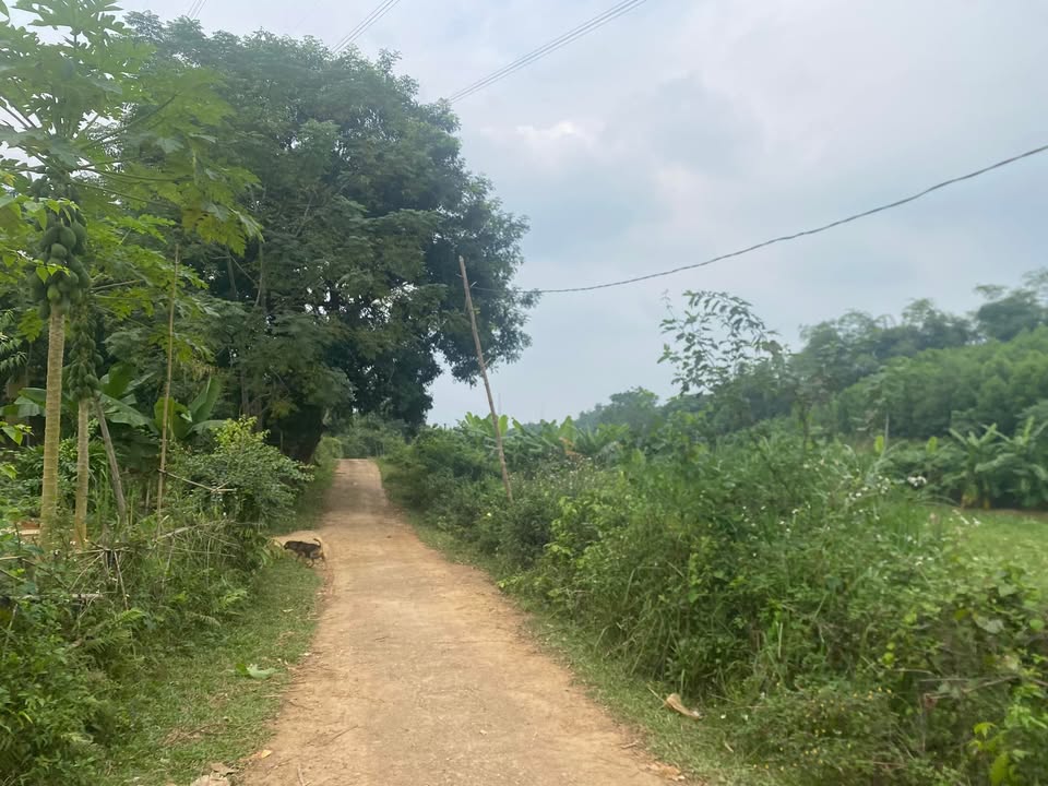 Đất nền chính chủ Lạc Lương, Yên Thuỷ - Diện tích từ 1.560,7m², giá thỏa thuận