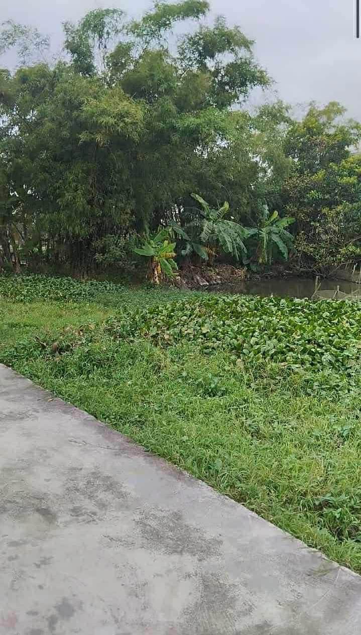 Đất nền Giao Thủy 158.5m² giá 500 triệu - Sẵn sàng xây biệt thự!