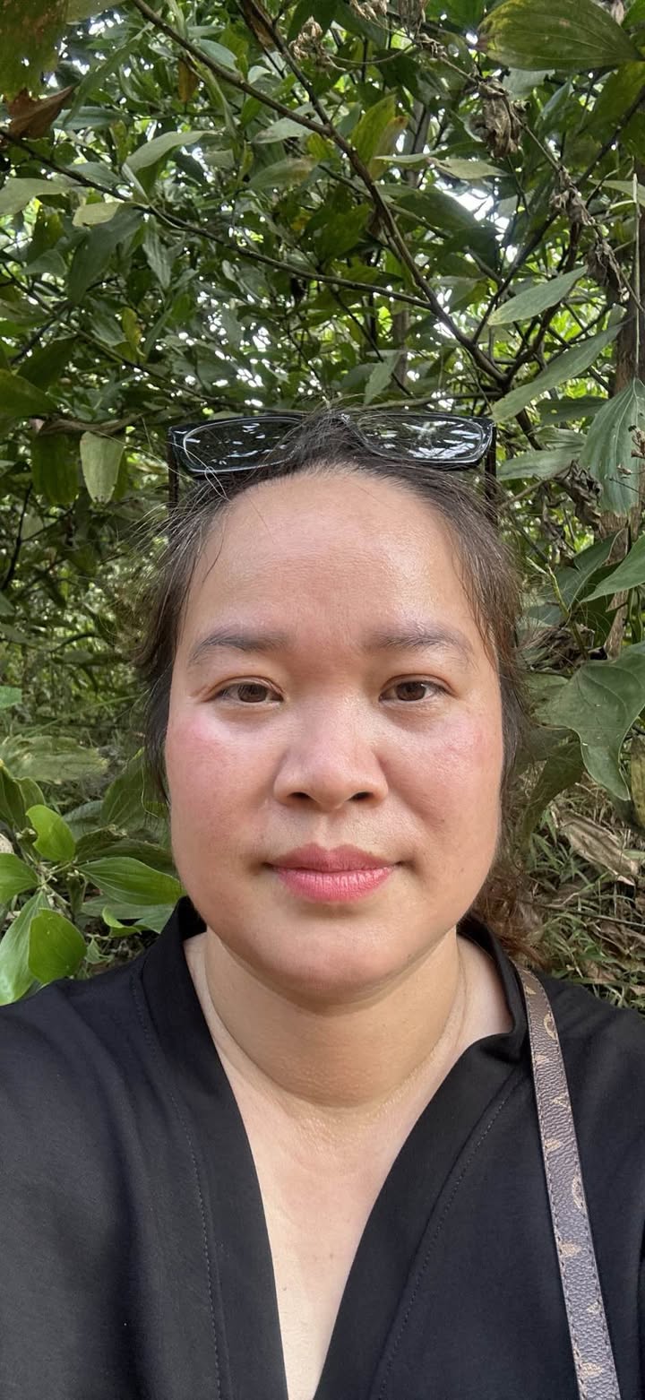 Đất rừng sản xuất 15ha Phấn Mễ - Phú Lương - Thái Nguyên - Đầu tư sinh lời bền vững!