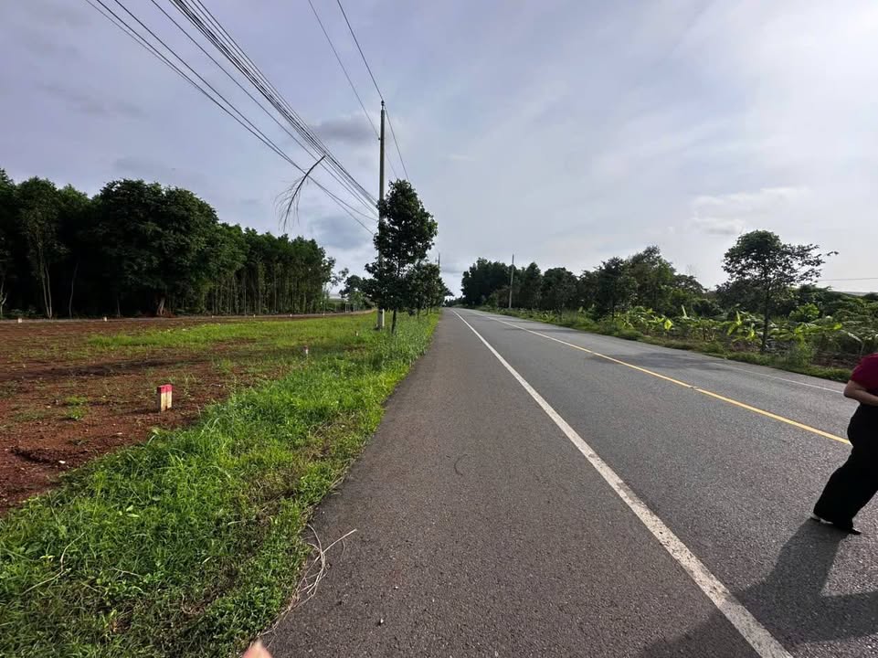 Đất nền Long Tân, Đất Đỏ 145m² giá 1.35 tỷ - Sổ hồng chính chủ, đầu tư sinh lời!