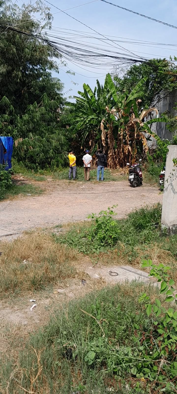 Đất nền Tân Hiệp Hóc Môn 278m² giá 7.8 tỷ - Pháp lý rõ ràng, thương lượng