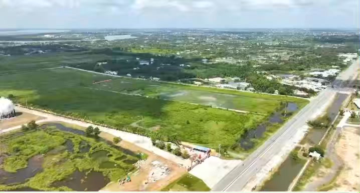 Đất mặt tiền ĐT830 Tân Tập 35.000m² giá 115 tỷ - Đầu tư sinh lời ngay!