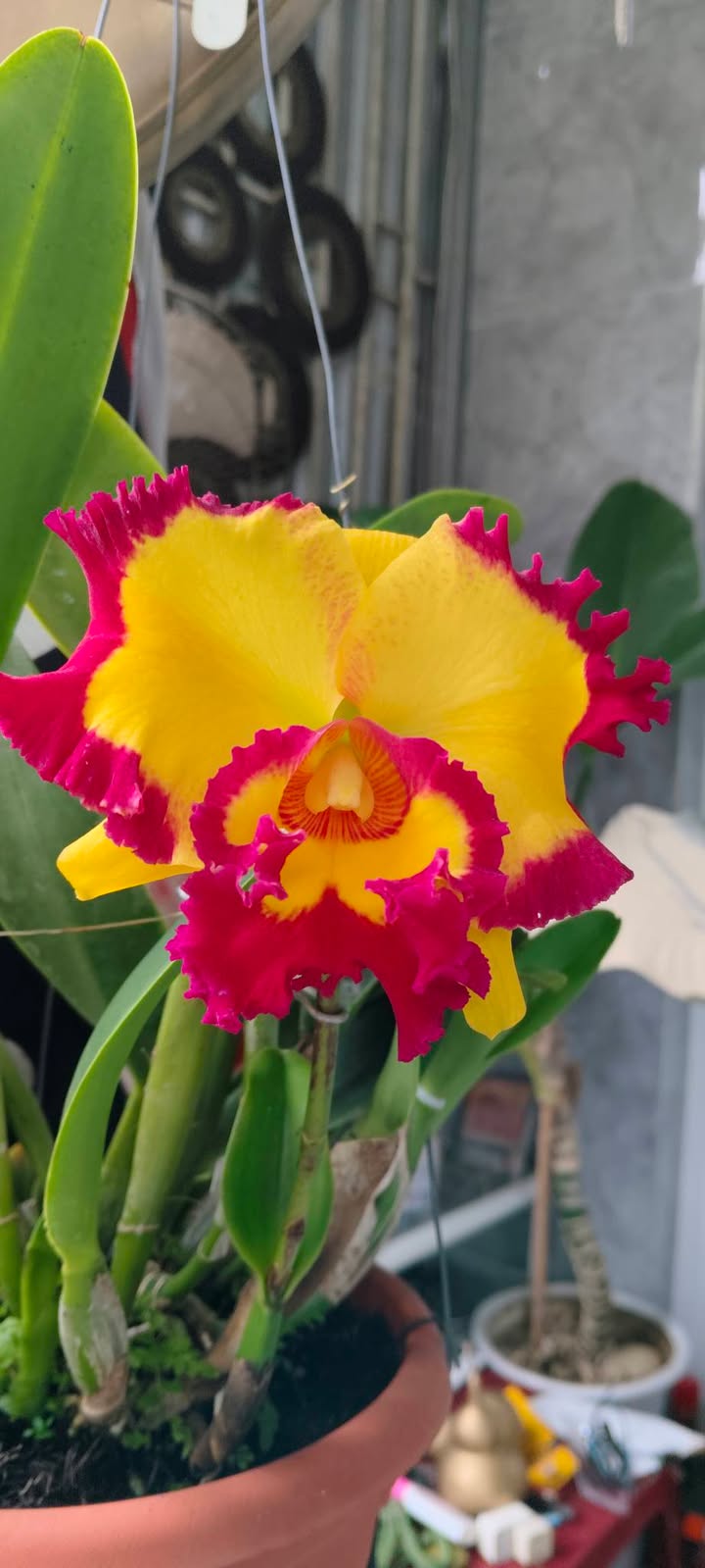 Cho thuê mặt bằng 28m² tại 905 Hà Ra, Nha Trang - Tiện lợi cho kinh doanh!