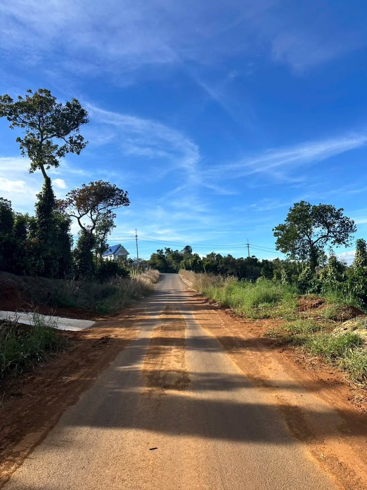 Đất nền 1700m² xã Kiến Đức, giá 1.7 tỷ - Đường nhựa thông thoáng!