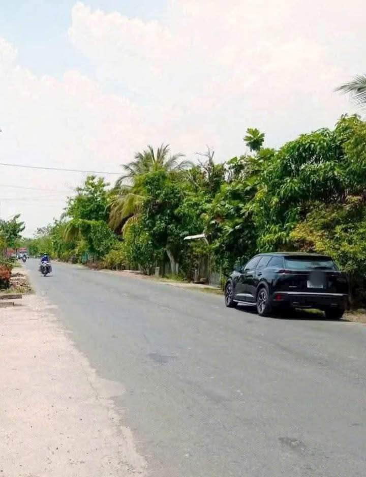 Đất Mặt Tiền Tỉnh Lộ 864, Tam Bình, Cai Lậy 2000m² - Cơ hội đầu tư tuyệt vời!