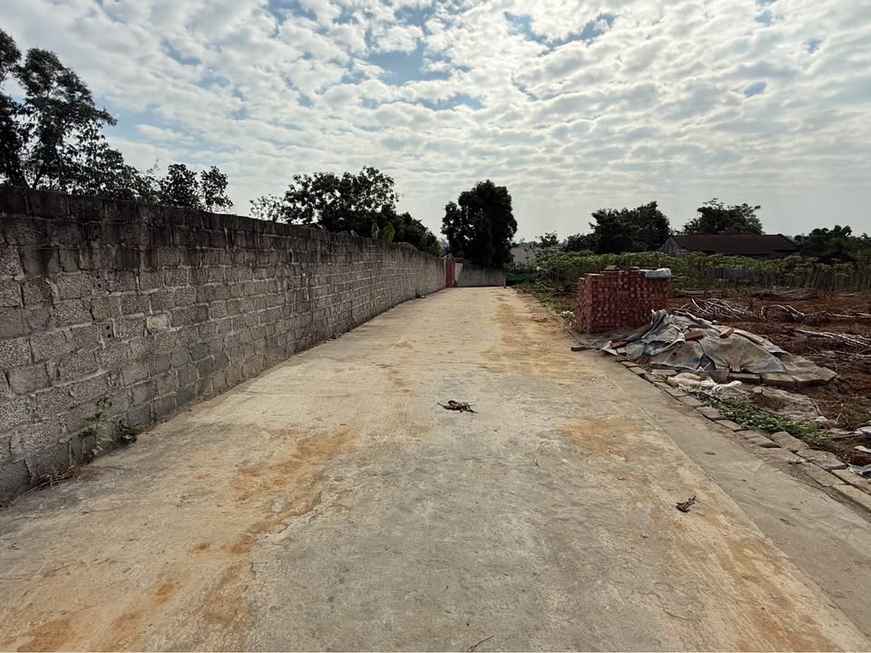 Đất nền Kim Long Tam Dương 100m² giá chỉ 400 triệu - Sổ đỏ chính chủ!