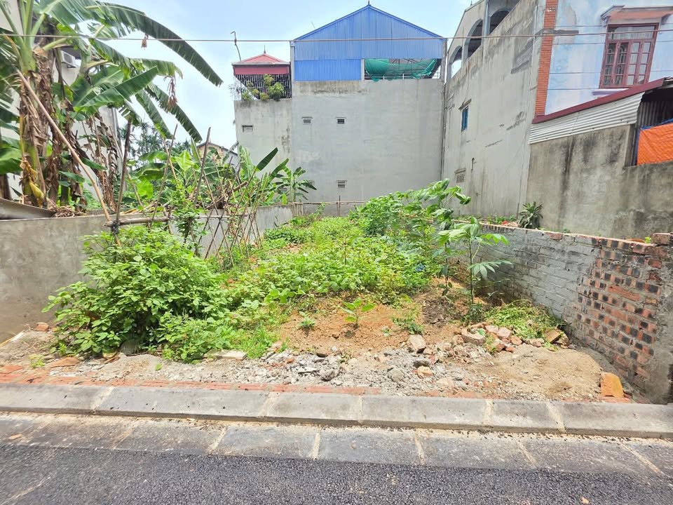 Đất thổ cư thôn Tiên Hùng, Phúc Thịnh 85m² giá 600 triệu - Cơ hội đầu tư tuyệt vời!