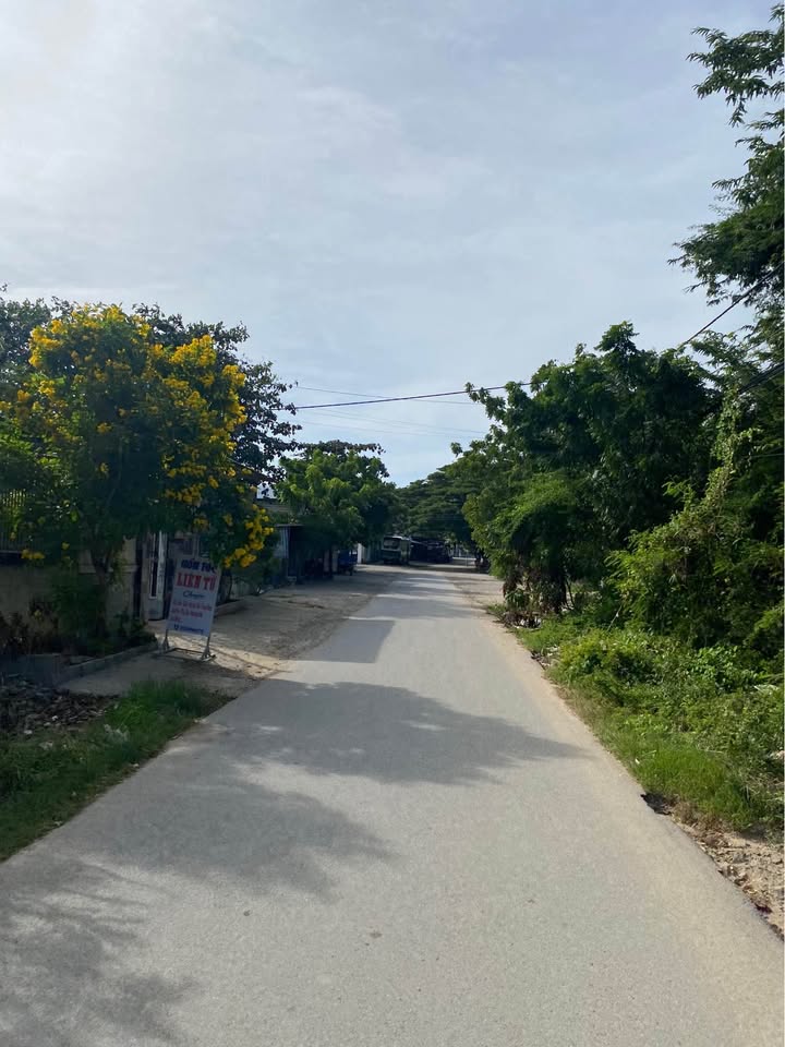 Đất thổ cư mặt tiền đường nhựa thôn An Thạnh 1, Phước Dinh - Giá chỉ 1 tỷ!