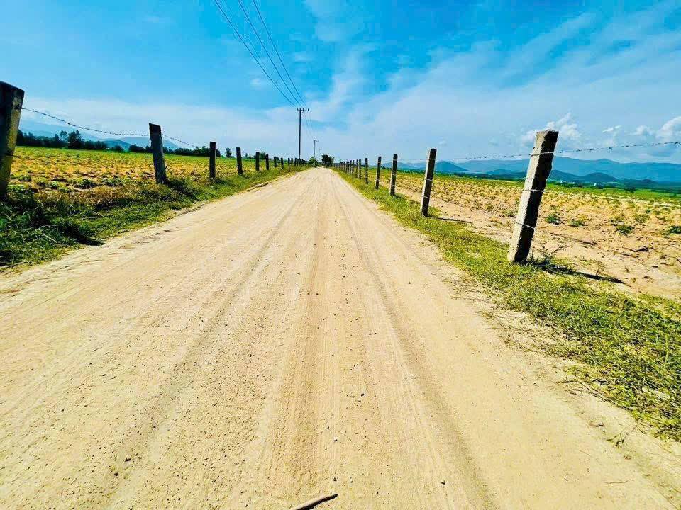 Đất nền Quảng Sơn 1000m² giá chỉ 105 triệu - Sổ hồng riêng, công chứng ngay!