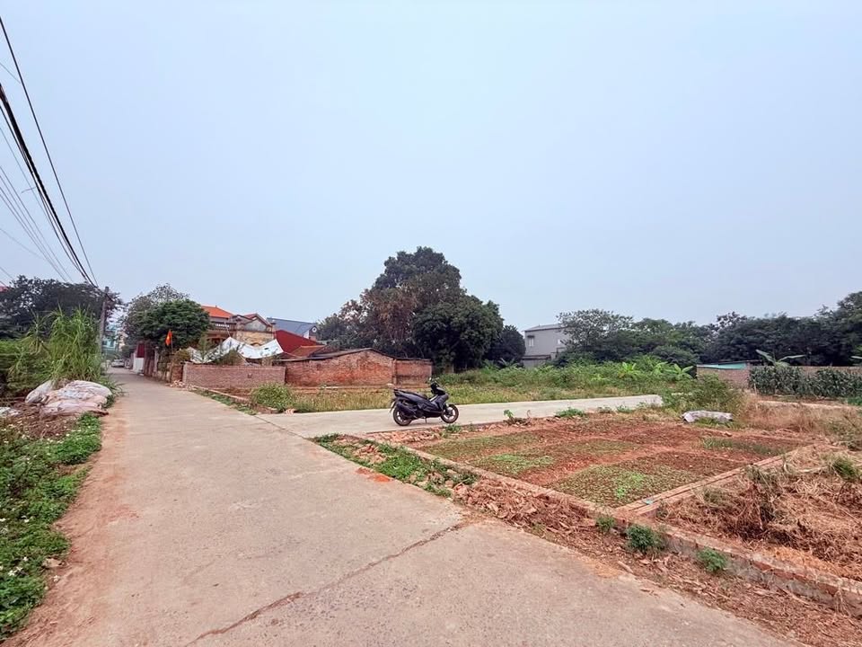 Đất nền phân lô Song Liễu Thuận Thành 81m² giá 2 tỷ - Đường ô tô vào tận nơi!