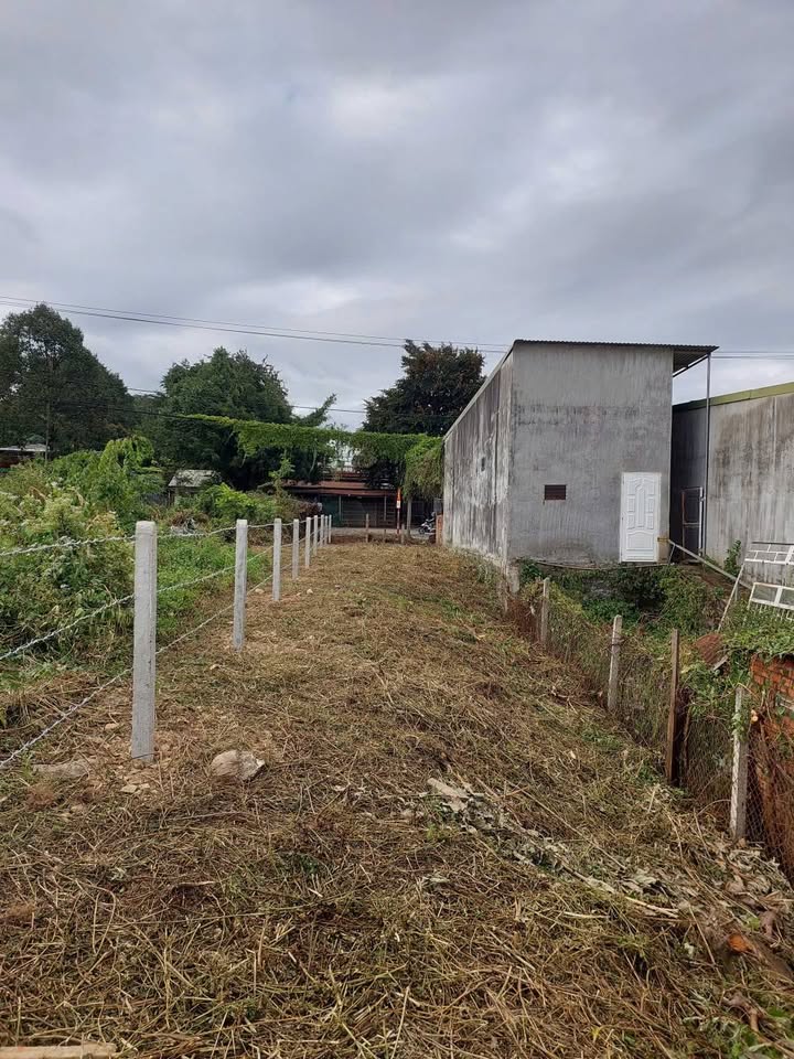 Đất nền mặt tiền Quốc Lộ 14, Cư Jút 140m² giá 1.59 tỷ - Kinh doanh tốt, pháp lý rõ ràng!