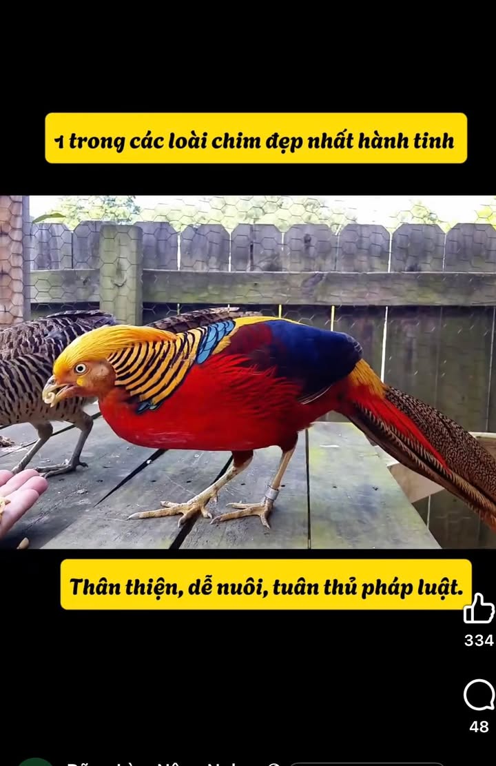 Đất nền Xuân Thành 170m² giá 1.7 tỷ - Đầu tư tiềm năng sinh lời!